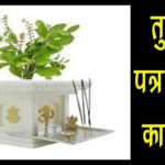 तुलसी मंत्र, तुलसी के पत्ते तोड़ते और जल देते समय भी बोलें Dharm Tips