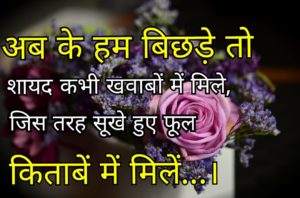 अब के हम बिछड़े तो शायद कभी खाबो में मिले जिस तरहा सूखे हुए फूल किताबे में मिले