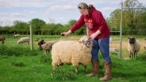 Deodorant :  Deodornt के इस्तेमाल से ‘अहिंसा के मार्ग’ पर हिंसक भेड़ें, पालने वालों के दावे हैरान कर देंगे