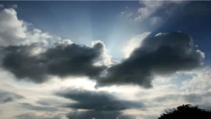 Haryana में गर्मी के बीच बारिश के आसार, 12 से 14 मार्च तक बदल सकता है मौसम।