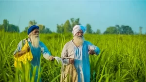 Haryana कृषि विश्वविद्यालय की सलाह: तेज हवाओं से फसलों को बचाने के लिए अगले 3-4 दिनों तक सिंचाई से दूर रहें किसान।