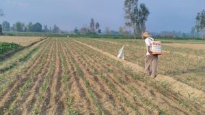 UP : प्राकृतिक खेती को बढ़ावा देने के लिए 270 करोड़ रुपये का निवेश।