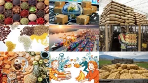 GST 2.0 आज से लागू: कई चीजें हुईं सस्ती, कुछ पर 0% Tax, समझिए नए Tax Slabs का पूरा हिसाब