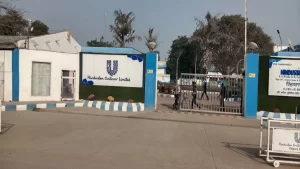 Patiala में Hindustan Unilever का ₹277 करोड़ का Investment – 1,092 युवाओं को मिलेगा रोजगार, Punjab में विकास की नई लहर