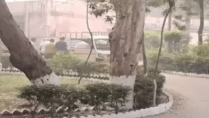 Punjab Police ने Newspaper की सप्लाई रोकी: Drugs और Weapons की Smuggling के शक में गाड़ियों की Checking, कई जगह देर से पहुंचे Newspaper