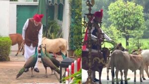 ‘दोस्त’ मोर और गाय को दाना-चारा खिलाते दिखे PM मोदी, वीडियो शेयर कर बताया अपना डेली रूटीन