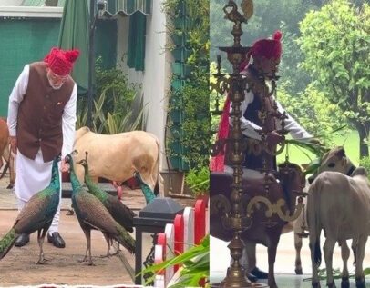 ‘दोस्त’ मोर और गाय को दाना-चारा खिलाते दिखे PM मोदी, वीडियो शेयर कर बताया अपना डेली रूटीन