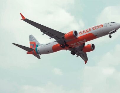 विदेश जाने वाले यात्रियों के लिए Air India की नई सुविधा, मुफ्त मिलेगा Travel SIM